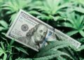 Local Bank To Become First To Fully Serve Guam’s Cannabis Industry