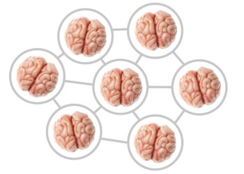 ‘Collective Mind’: Researchers Examine Social Effects of Watching the Same Thing Together