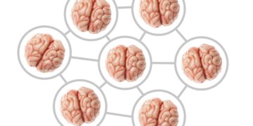 ‘Collective Mind’: Researchers Examine Social Effects of Watching the Same Thing Together