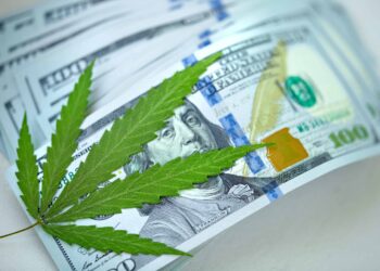 Humboldt Weed Grower To Pay $750,000 for Environmental Violations