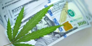 Humboldt Weed Grower To Pay $750,000 for Environmental Violations