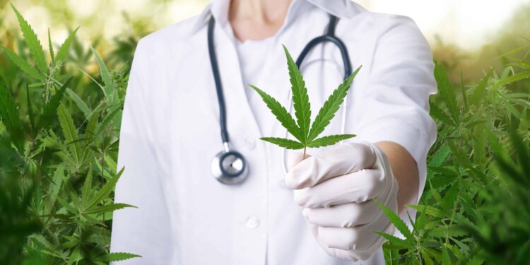 New Jersey Introduces Digital MMJ Cards With No Registration, Renewal Fees