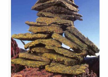 From the Archives: A Tale of Bales (2019)