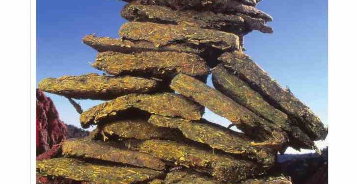 From the Archives: A Tale of Bales (2019)