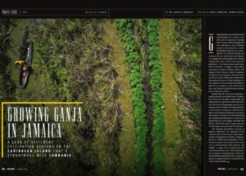 Growing Ganja in Jamaica