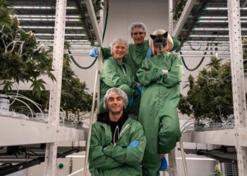 Drapalin Pharmaceutical, German Rapper Antifuchs Team Up To Merge Cannabis Medicine with Music