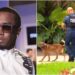 Diddy’s Homes Raided by Homeland Security as Feds Close in on Alleged Human Trafficking Crimes