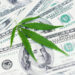 Legal Weed Sales in New Mexico Top $1 Billion