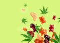 Popular U.S. Edibles Brand Announces European Launch