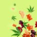 Popular U.S. Edibles Brand Announces European Launch