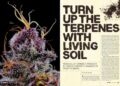 Turn Up the Terpenes With Living Soil