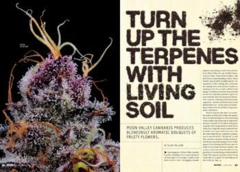 Turn Up the Terpenes With Living Soil