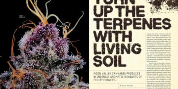 Turn Up the Terpenes With Living Soil