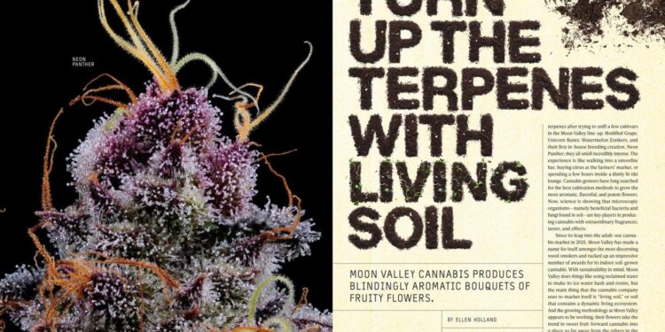 Turn Up the Terpenes With Living Soil
