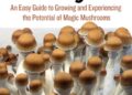The Magic of Mushrooms