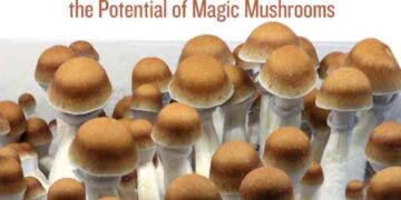 The Magic of Mushrooms