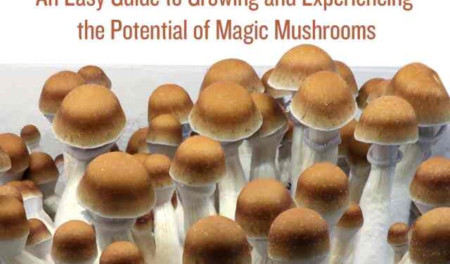 The Magic of Mushrooms